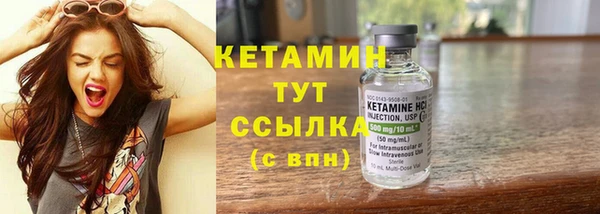 хмурый Пересвет