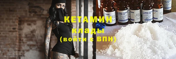 прущие грибы Бородино