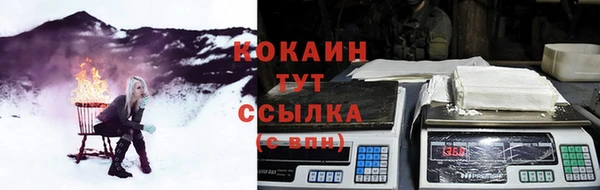 гашик Бронницы