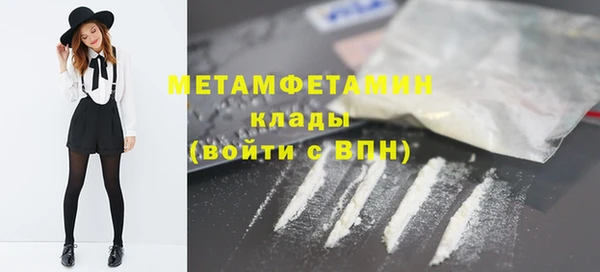 прущие грибы Бородино