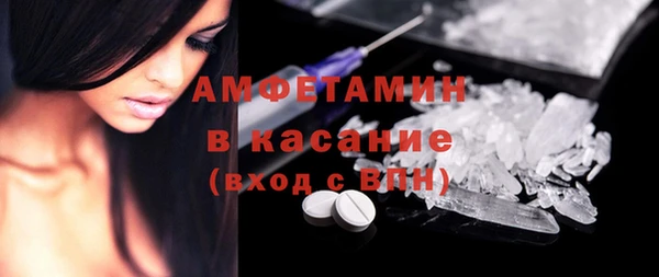 прущие грибы Бородино