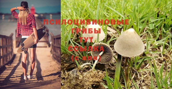 мдма Беломорск