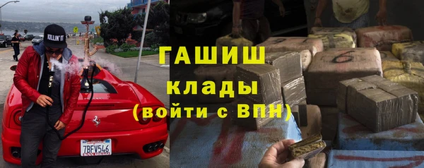 прущие грибы Бородино