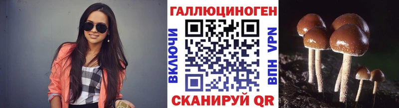 Галлюциногенные грибы Cubensis закладка Старица