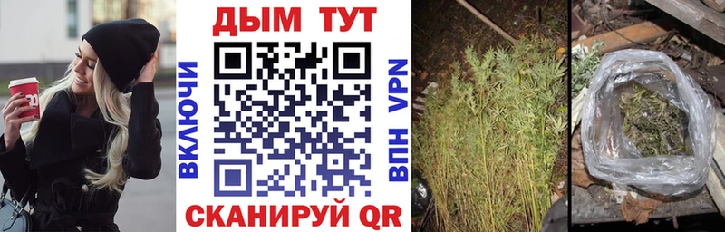 Каннабис AK-47  блэк спрут онион  Старица 